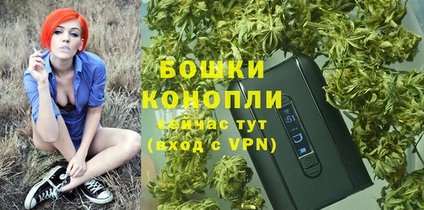 spice Балабаново
