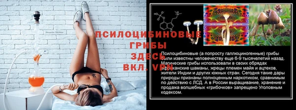 стафф Армянск