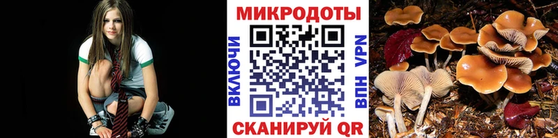 где продают   Баймак  Галлюциногенные грибы Magic Shrooms 